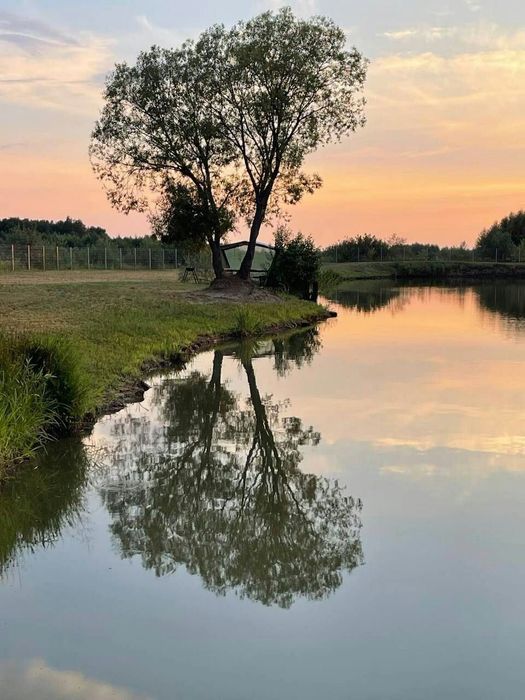 Дом с большим участком и озерами в лесу