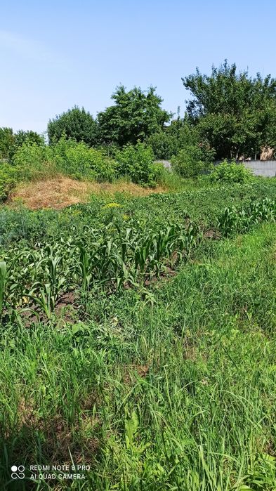 Приватизована земельна ділянка під забудову