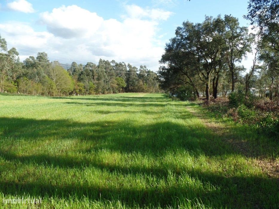 Terreno — Areias, Sequeiró, Lama E Palmeira, Porto