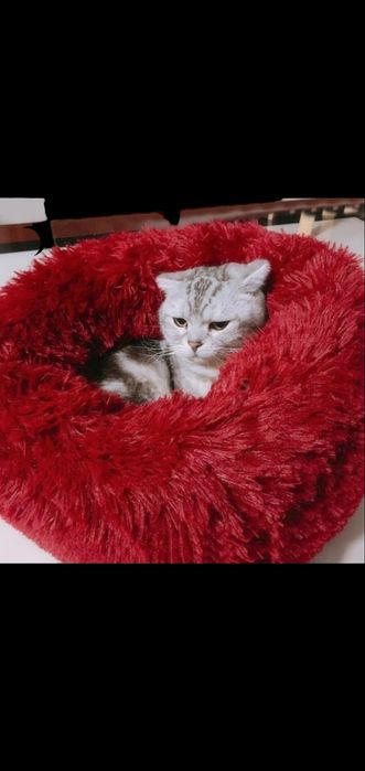 Лежак лежанка кругла хутряна бублик 55 см.