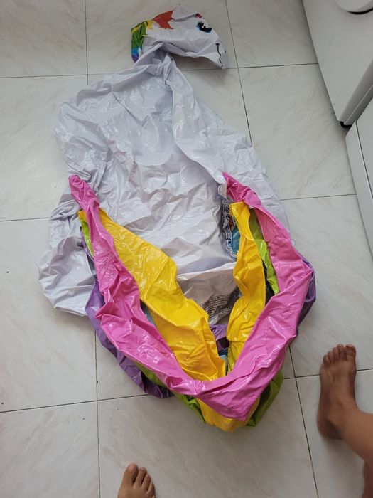 Unicorn Pool64752110449667124