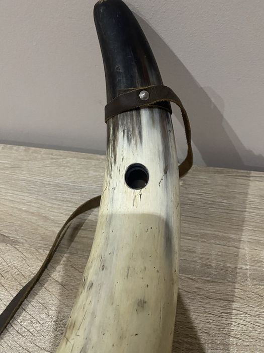 Corno raro de porte grande