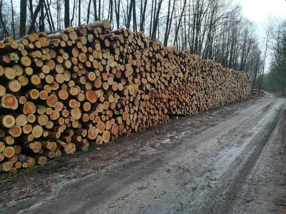 Drewno Kominkowe, drewno opałowe, drewno do kominka, opał, drewno.