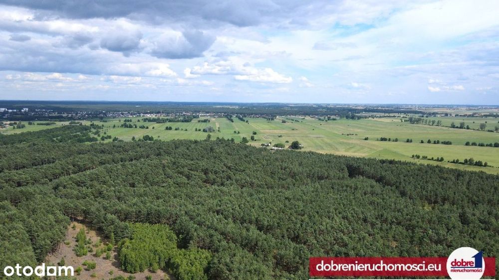 Działki budowlane w sercu natury – Januszkowo - Widok 3