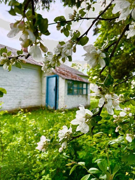 Розкішна, величезна ділянка з будинком, річкою та ставом (Луцький р-н)