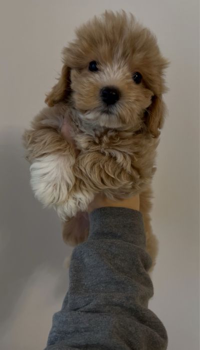 Хлопчик з білими маркерами