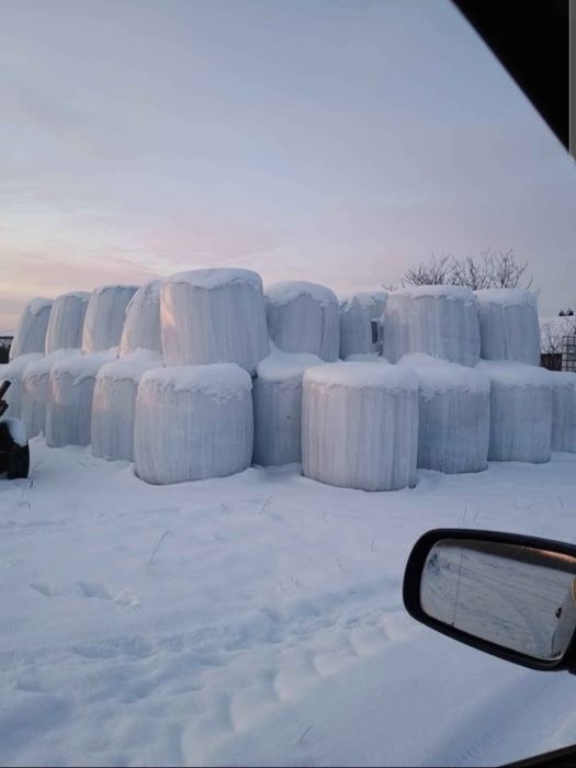 Sianokiszonka I pokos 2025