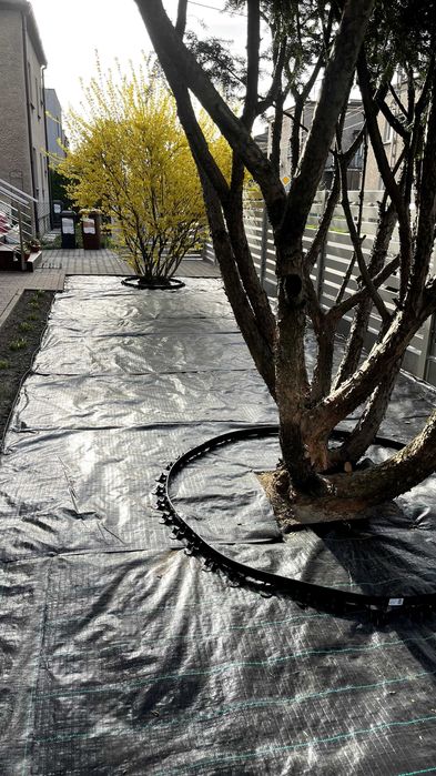 Usługi ogrodnicze- Czysty Plac- całe województwo śląskie