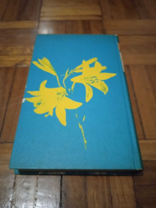 Olhai os Lírios do Campo - Erico Veríssimo