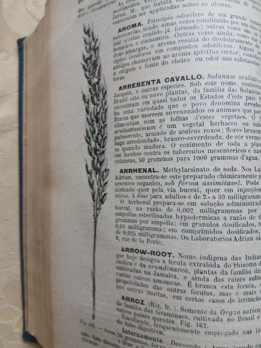 Chernoviz, Formulario e Guia Médico 1927