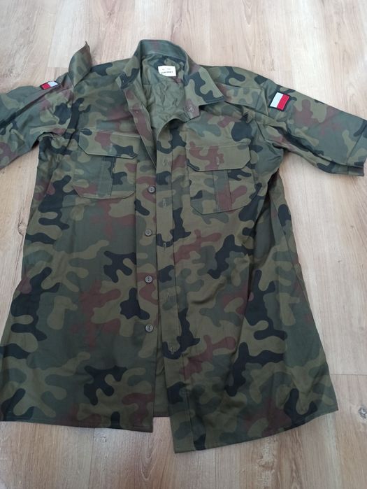 Koszula WP            .