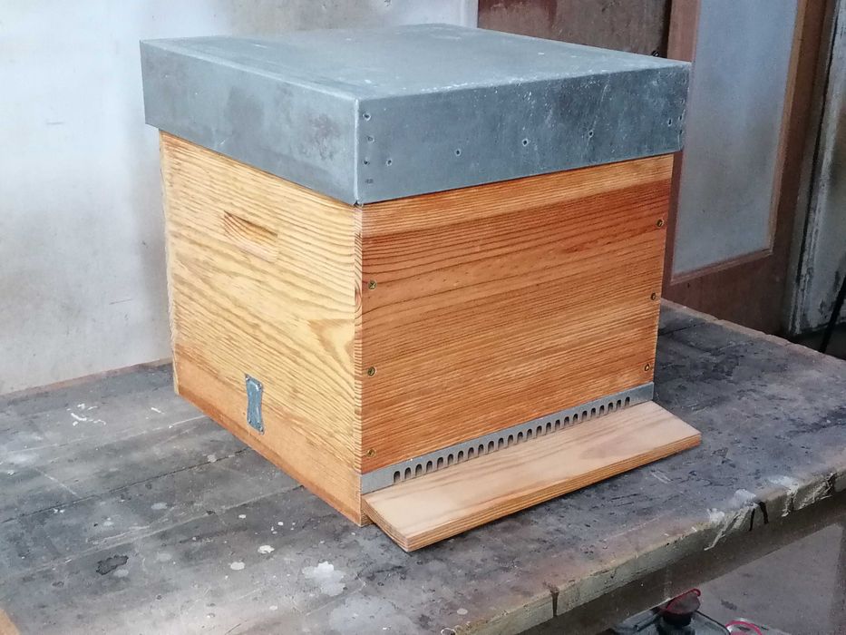 Ninhos Lusitanos - Abelhas