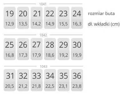 kapcie profilaktyczne Dawid wzór 1042 roz 30-19,8 cm wzór 250