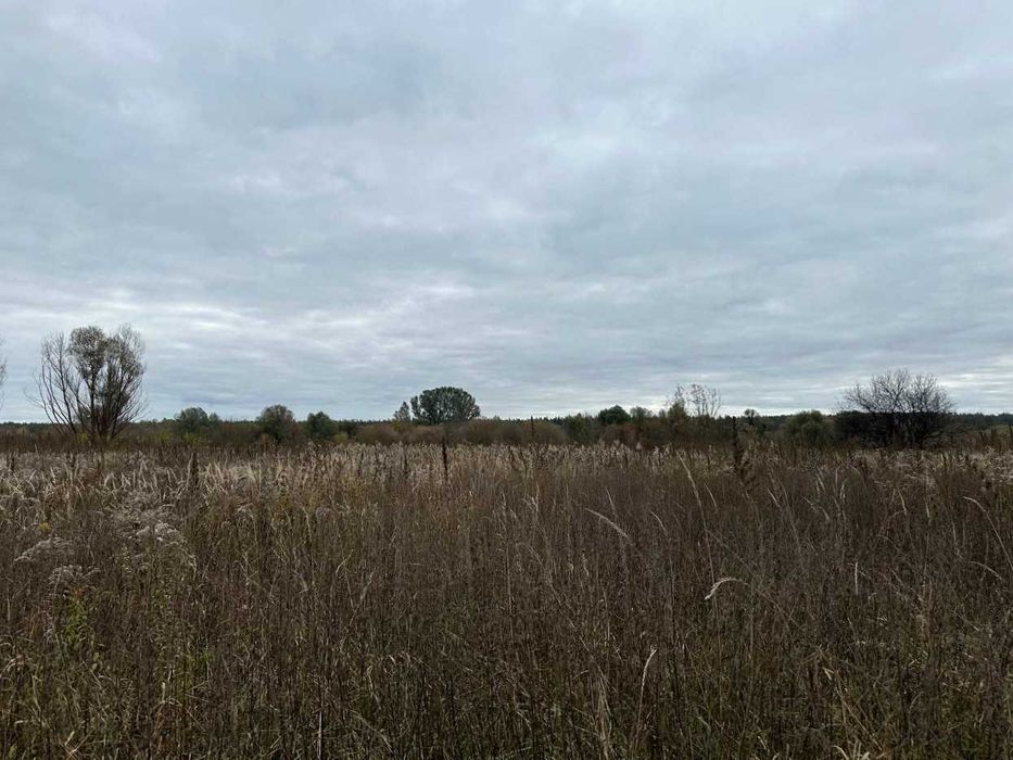 Продаж Ірпінь 164 сотки біля річки