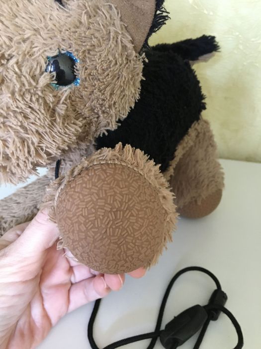 М’яка іграшка з якою можно гуляти на вулиці