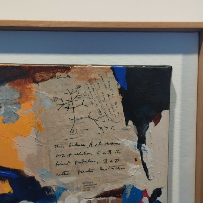 Quadro Alfredo Coelho (2007) - Técnica Mista "Darwin" - 67x55cm. Adquirido na P55.ART