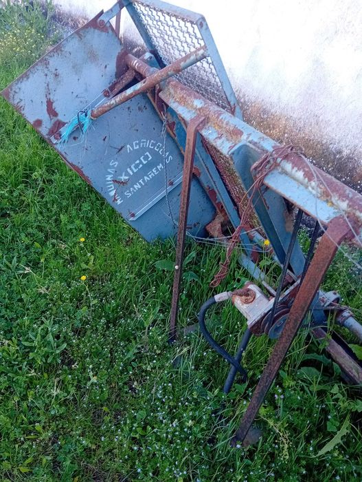 descampanadeira de vinha