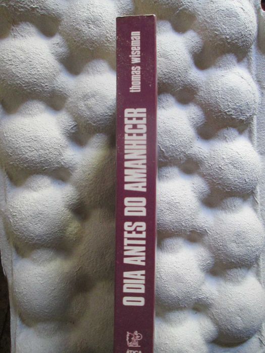 O Dia Antes do Amanhecer, de Wiseman Thomas