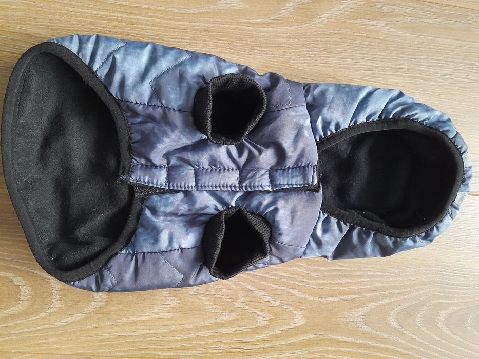 Ubranko dla małego pieska York, Chihuahua