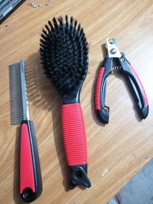 Conjunto para Gatos