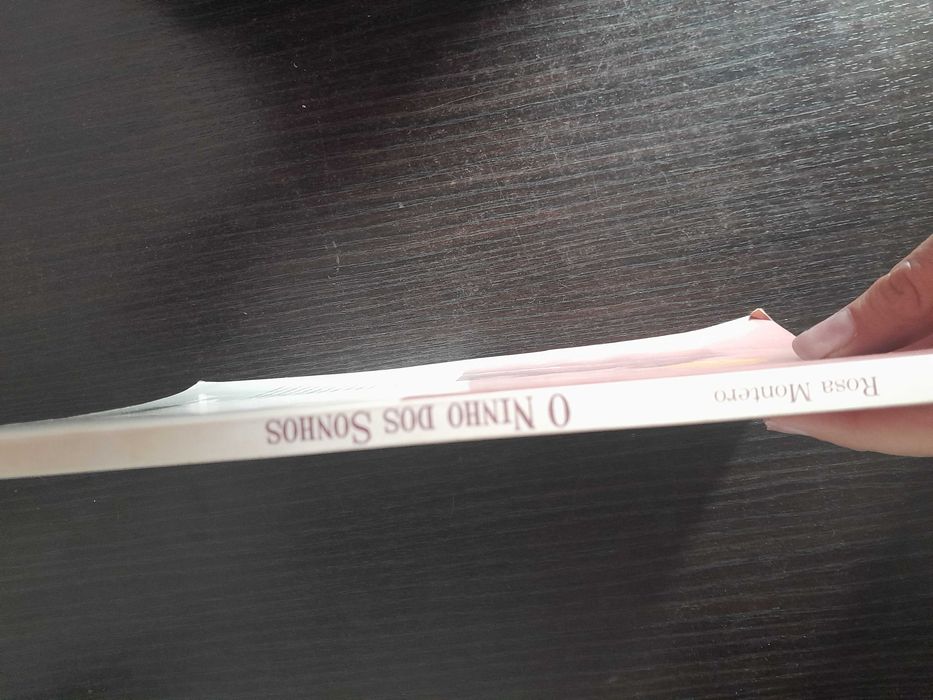 O Ninho dos Sonhos - Rosa Montero