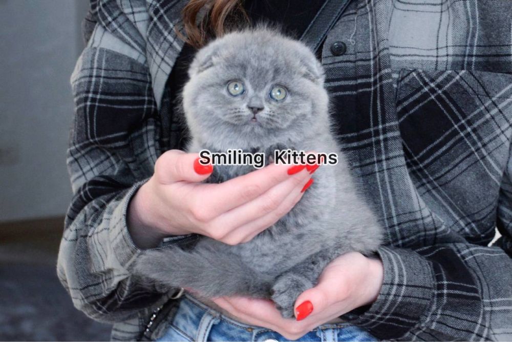 Мікс краса та грація