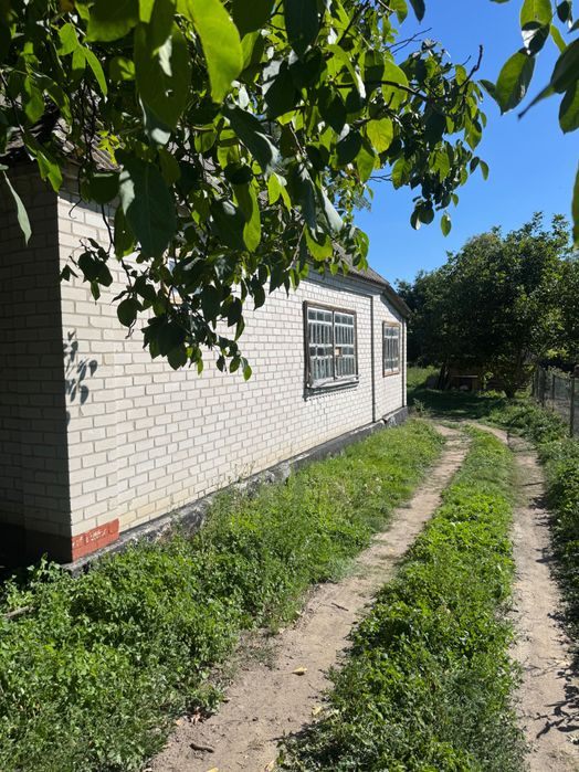 Продам будинок в селі Орловець