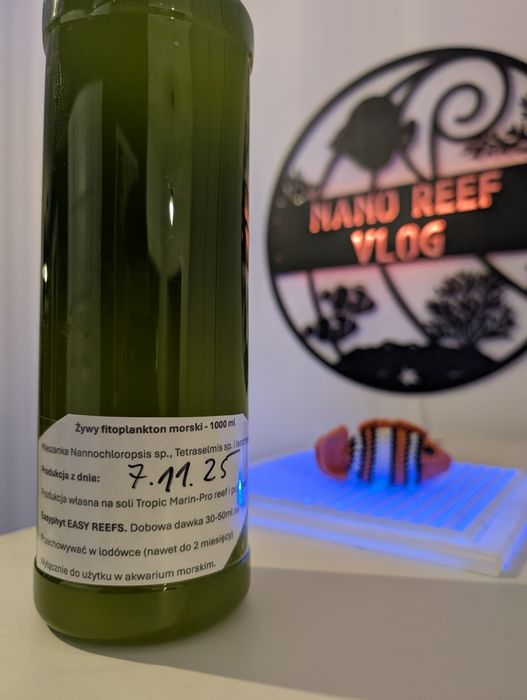 Fitoplankton z 13.02.26 1 l do akwarium morskiego pokarm dla korali