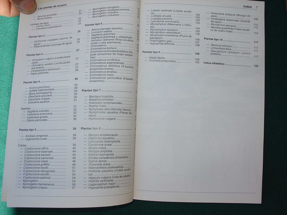 Las Plantas de Acuario