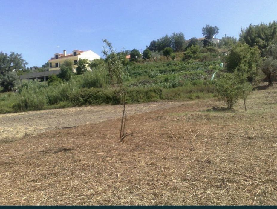 Vendo Casa Devoluta e terrerno 2750m2