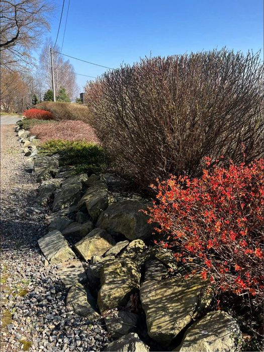 Usługi ogrodnicze, przycinanie, koszenie, glebogryzarka, rębak Ustroń