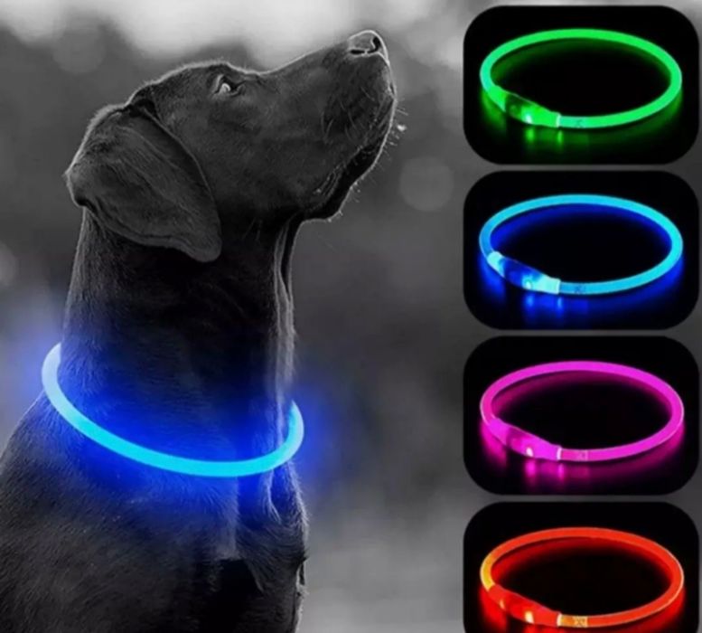 Светящийся LED ошейник для собак с зарядкой S