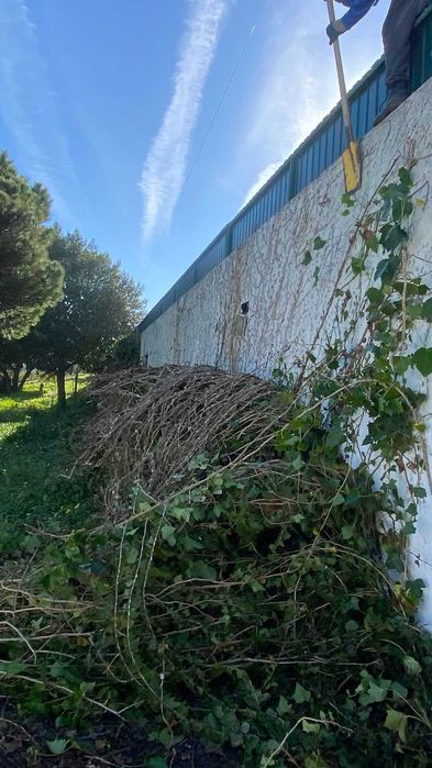 Jardinagem - Limpeza