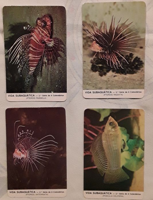Calendários de bolso 1987 - Tema: Vida Subaquática