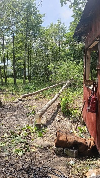 Sprzątanie działek i podwórek