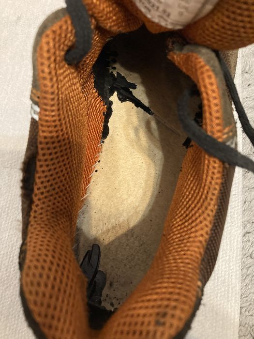 Buty Firmy Raptor