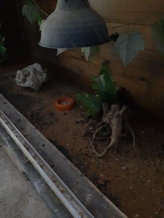 Terrario com cerca de 2m