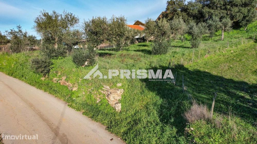 Terreno para Venda em Salgueiro do Campo
