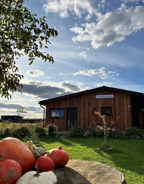 Leśny Zakątek Uroczysko -Tiny House , noclegi , sauna i balia , basen