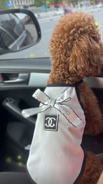 Майка для собачки або котика шанель