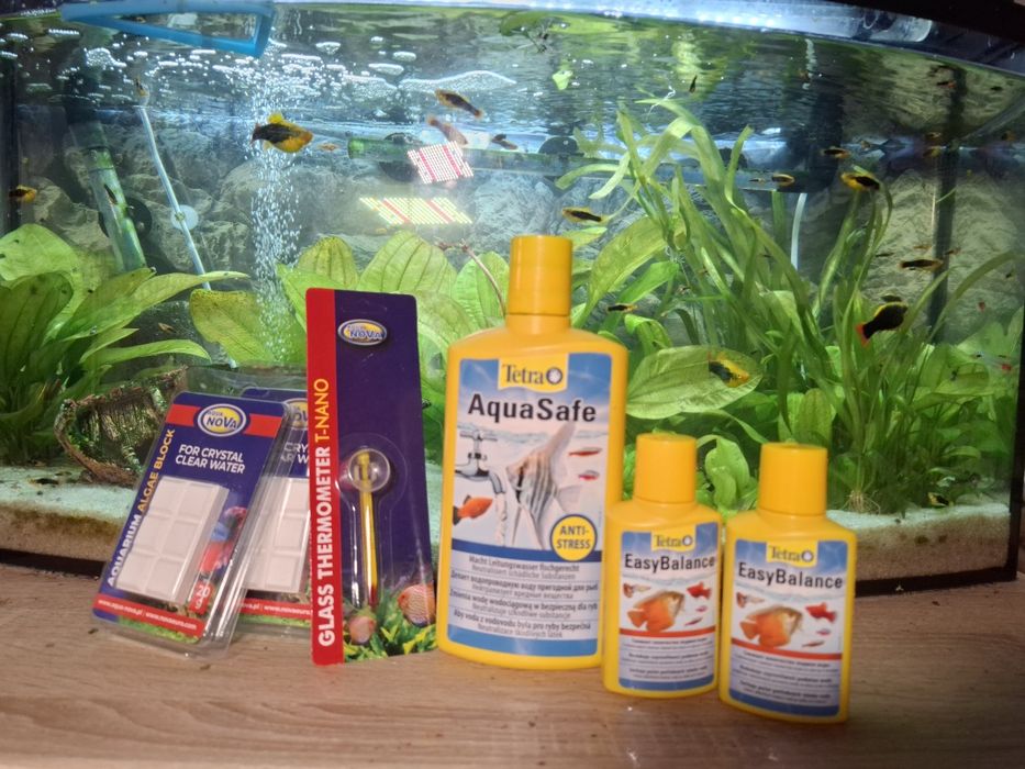Akwarium z rybami i osprzętem.