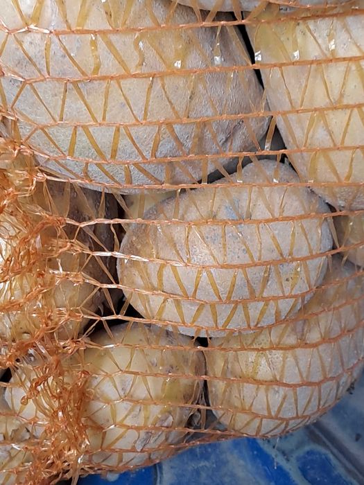 Ziemniaki żółte jadalne