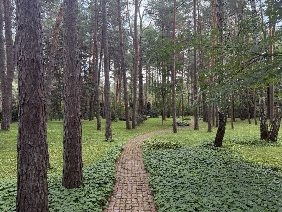 Продаж Краща ділянка Козин Конча Заспа 50 соток Сосновий Бір Ліс Сосни