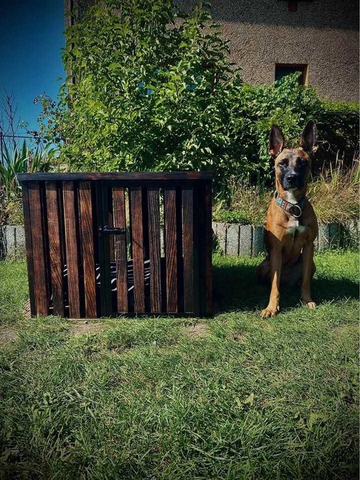 Klatka kenelowa dla psa