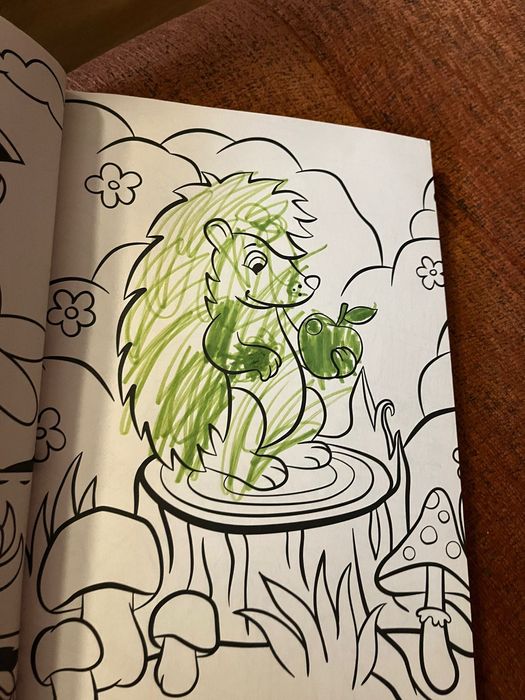 Mega Colour kolorowanka dla dzieci