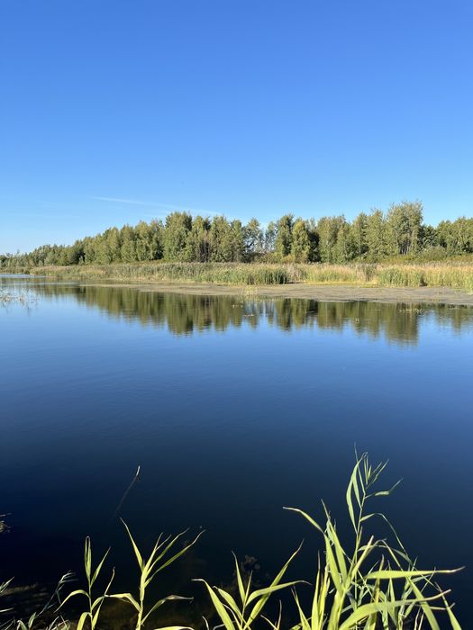 Ділянка 17 соток з виходом до Дніпра
