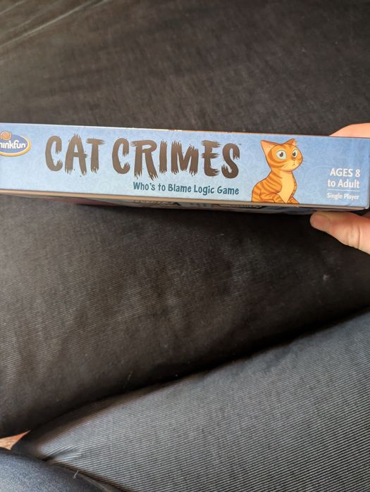 Cat logig board game.