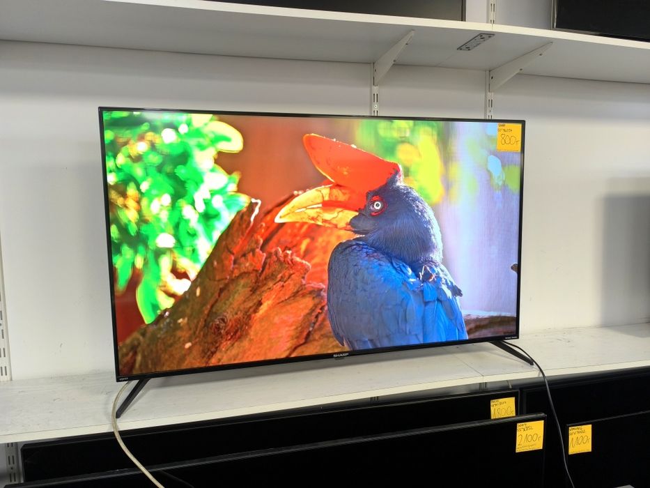 Sharp 50 cali 4K UHD hdr Smart Android WiFi DVB-T2 50FN2EA gwarancja 3m telewizor