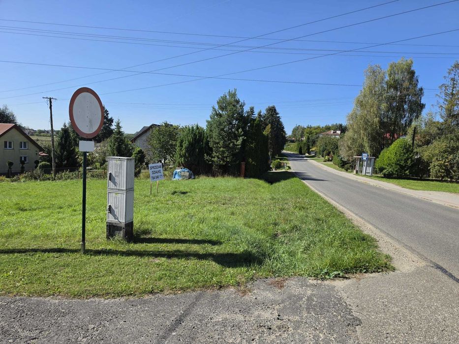 Zdjęcie 3