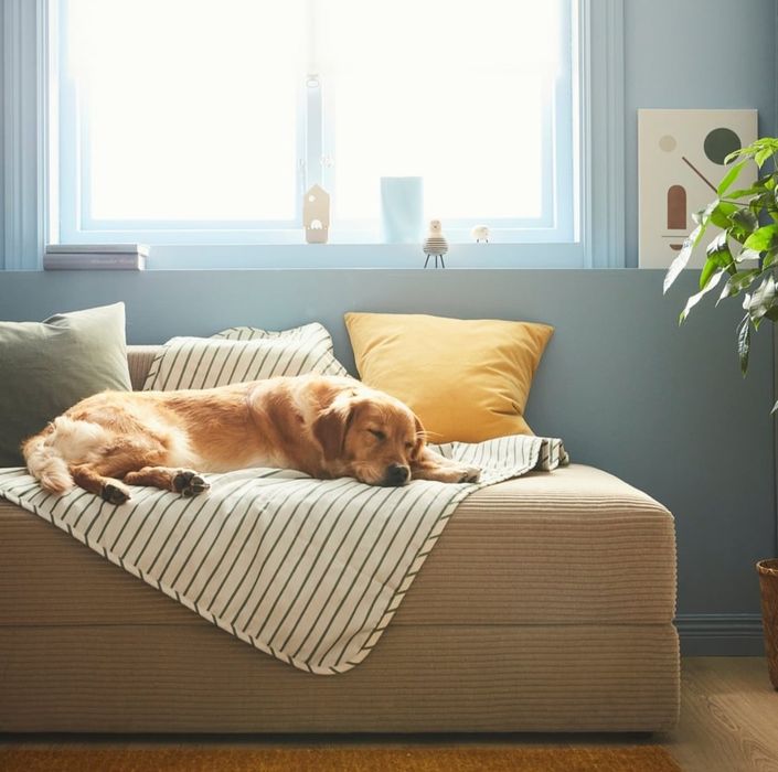 Manta para animal de estimação Ikea - NOVO